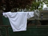 IMG_8763.CR2