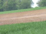 IMG_8787.CR2