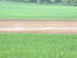 IMG_8788.CR2