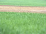 IMG_8790.CR2