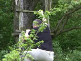 IMG_8831.CR2
