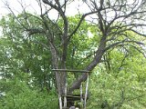 IMG_8833.CR2