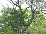 IMG_8834.CR2