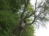 IMG_8840.CR2