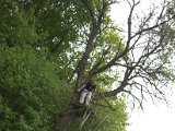 IMG_8841.CR2
