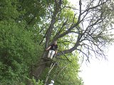 IMG_8842.CR2