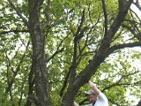 IMG_8849.CR2
