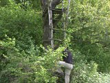 IMG_8871.CR2