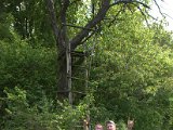 IMG_8876.CR2