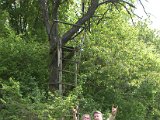 IMG_8877.CR2