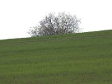 IMG_8915.CR2
