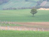 IMG_8919.CR2