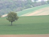 IMG_8921.CR2