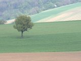 IMG_8922.CR2