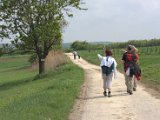 IMG_8931.CR2