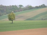 IMG_8932.CR2