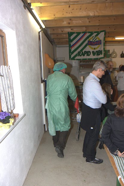 Bibi50_0482