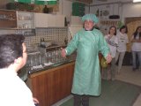 Bibi50_0494.CR2