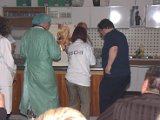 Bibi50_0678.CR2