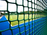 IMG_1130.jpg