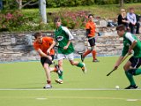IMG_1234.jpg