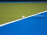 IMG_1385.jpg