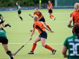 IMG_1968.jpg