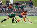 IMG_2129.jpg