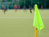 IMG_2158.jpg