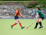 IMG_2190.jpg