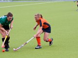 IMG_2326.jpg