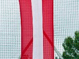 IMG_2684.jpg