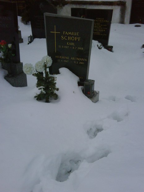 IMG00165-20100206-1603_MAM