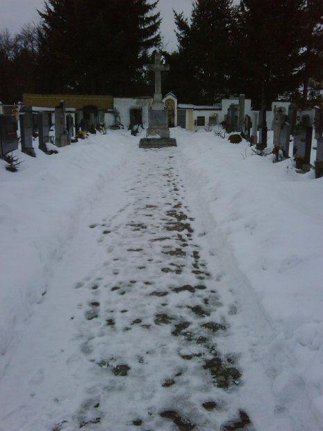 IMG00174-20100206-1605