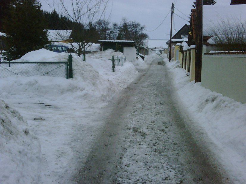IMG00184-20100206-1610