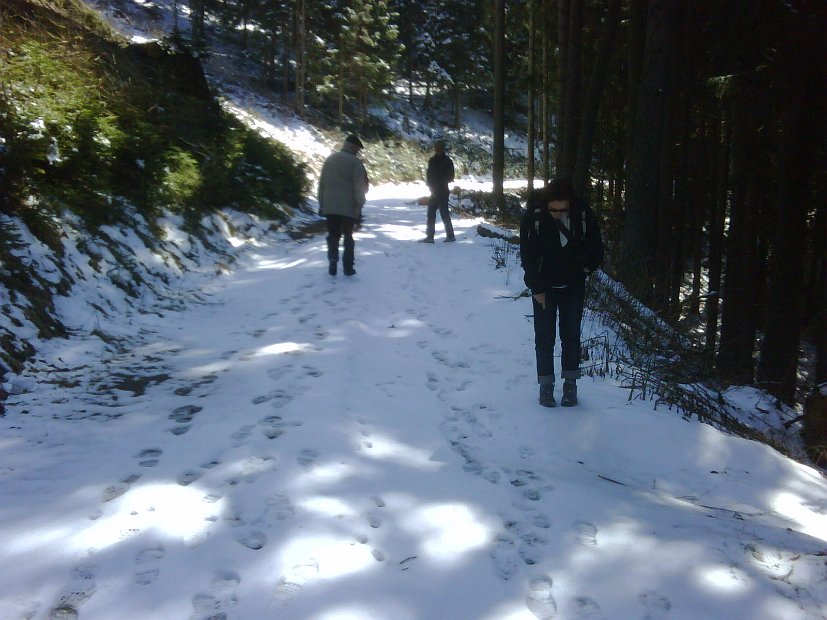 IMG00205-20100403-1209