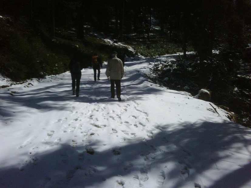 IMG00206-20100403-1223