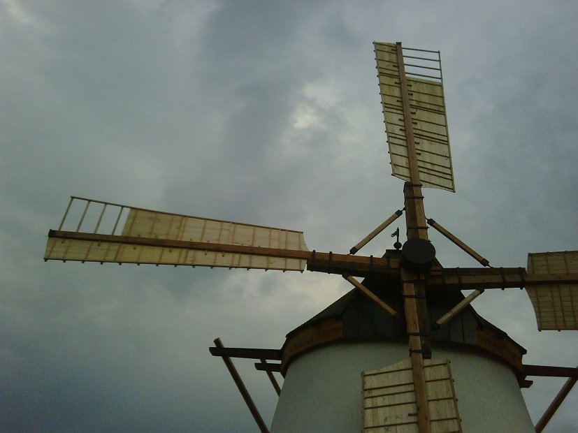 IMG00235-20100521-2007