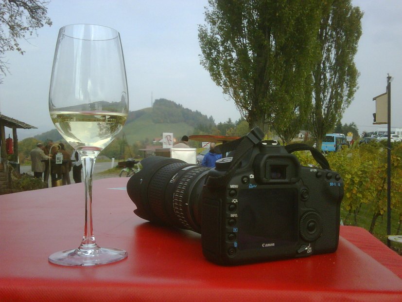 IMG00295-20101016-1223