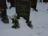 IMG00165-20100206-1603_MAM.jpg
