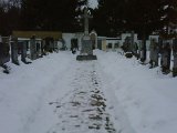 IMG00174-20100206-1605.jpg