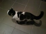 IMG00187-20100206-1820.jpg