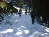 IMG00205-20100403-1209.jpg