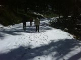 IMG00206-20100403-1223.jpg