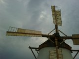 IMG00235-20100521-2007.jpg