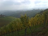 IMG00294-20101016-1223.jpg