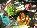 2011-06-30 18.45.03.jpg