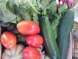 2011-07-01 11.18.13.jpg