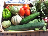 2011-07-01 11.26.48.jpg