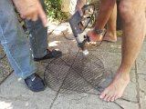 2011-07-01 15.56.03.jpg